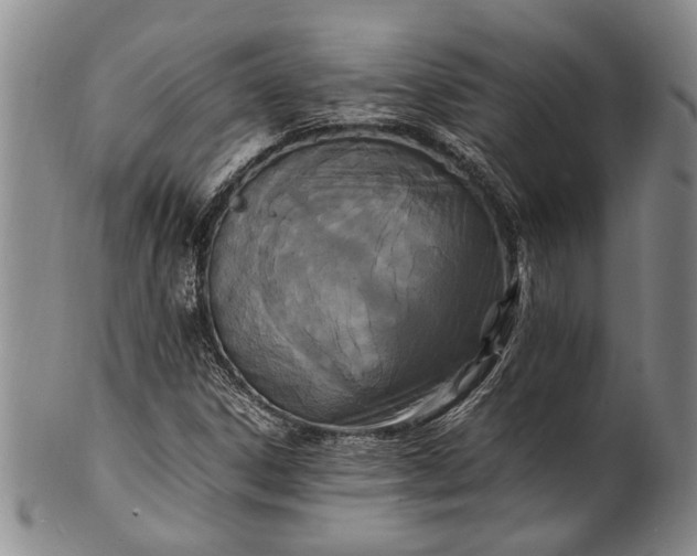 X0000102251306200808081402