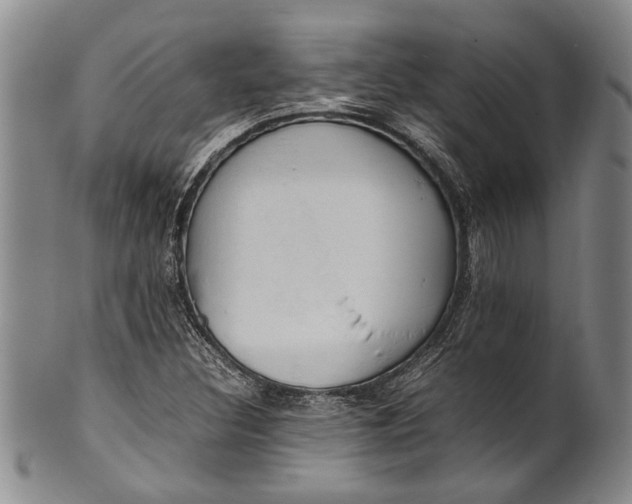 X0000102251308200808081402