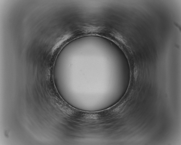 X0000102251309200808081402