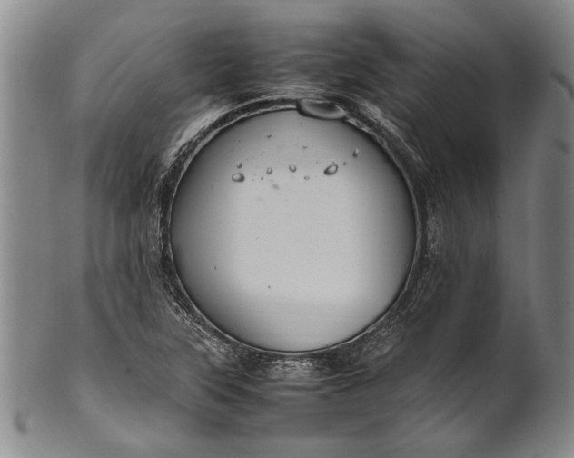 X0000102251315200808081402