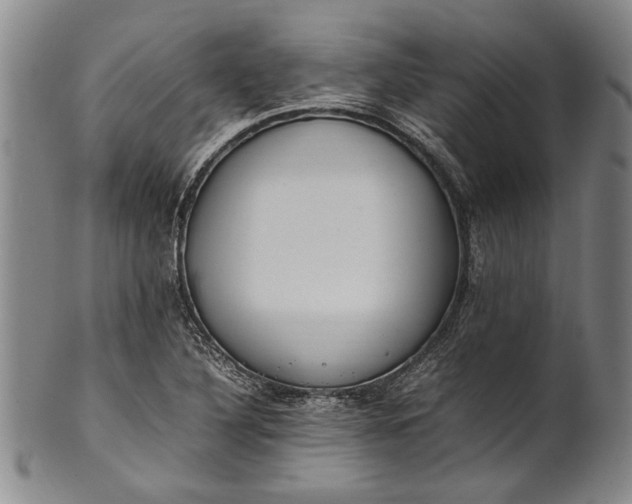 X0000102251316200808081402