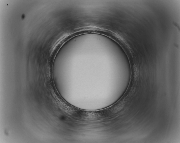 X0000102251318200808081402