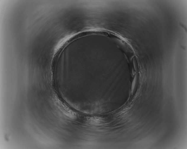 X0000102251319200808081402