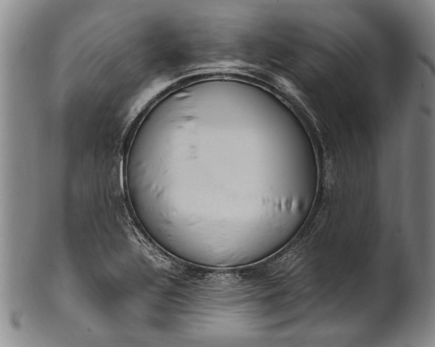 X0000102251320200808081402