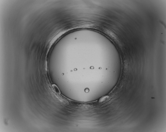 X0000102251324200808081402