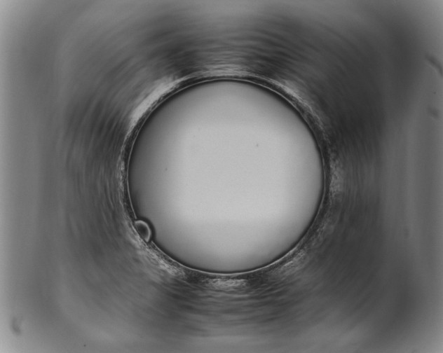 X0000102251325200808081402