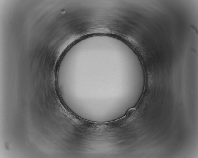 X0000102251326200808081402