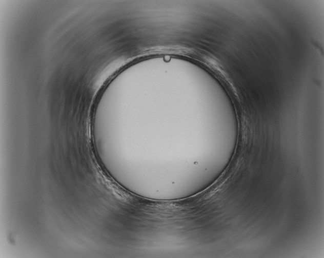 X0000102251328200808081402