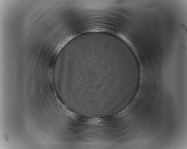 X0000102251329200808081402