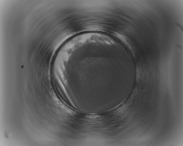 X0000102251331200808081402