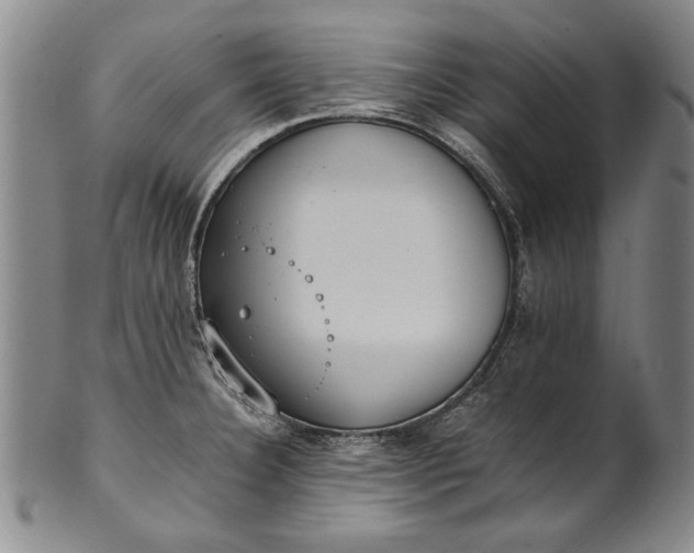 X0000102251332200808081402