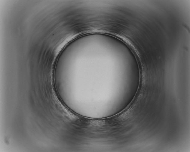 X0000102251333200808081402