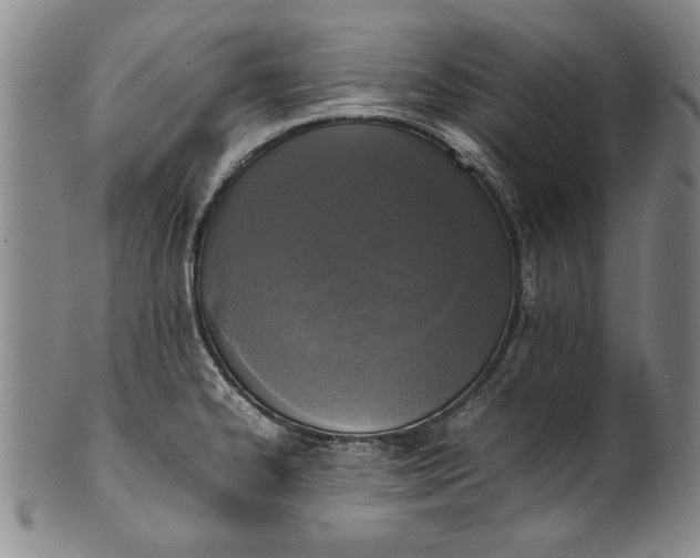 X0000102251334200808081402