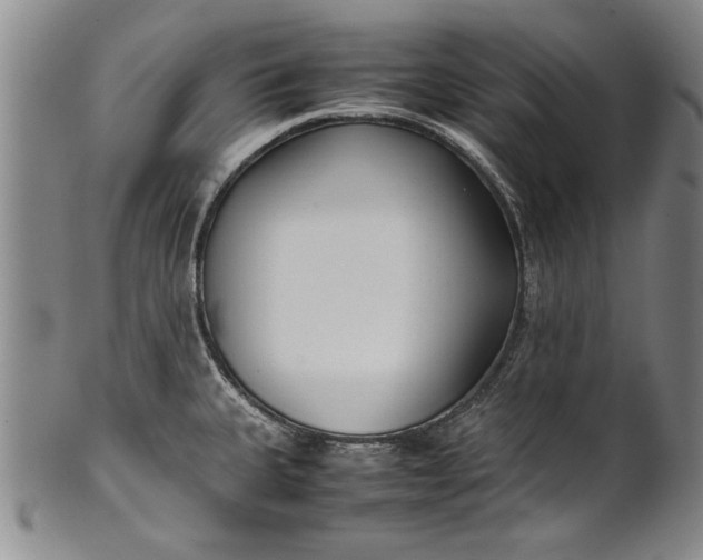 X0000102251335200808081402