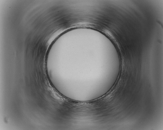 X0000102251336200808081402