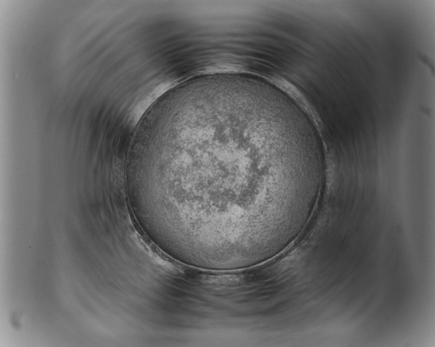 X0000102251337200808081402