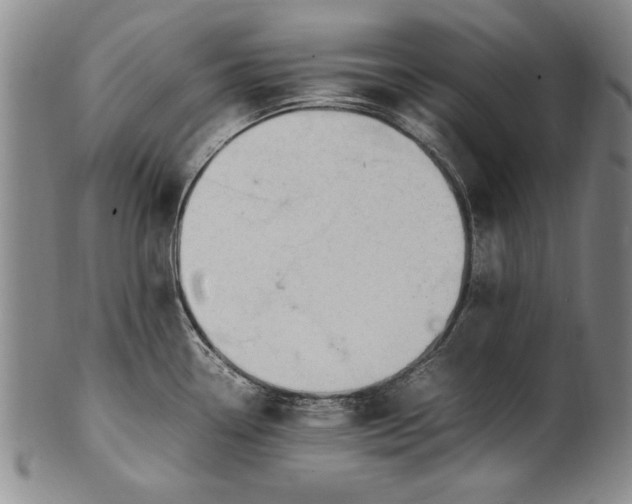 X0000102251338200808081402