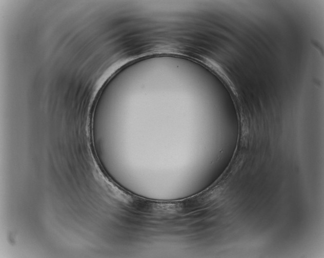 X0000102251339200808081402