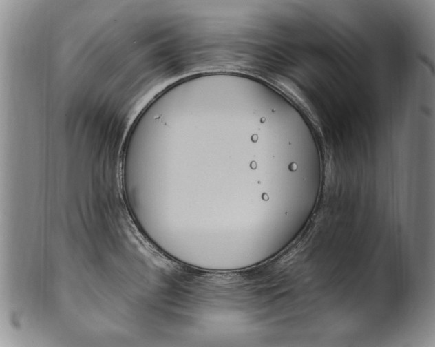 X0000102251340200808081402