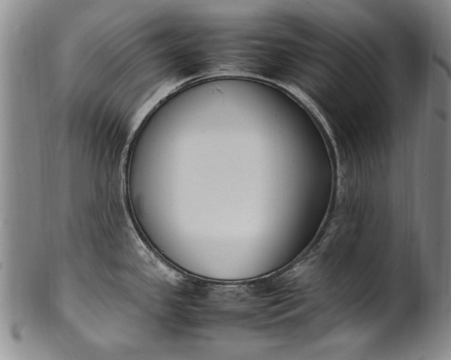 X0000102251341200808081402