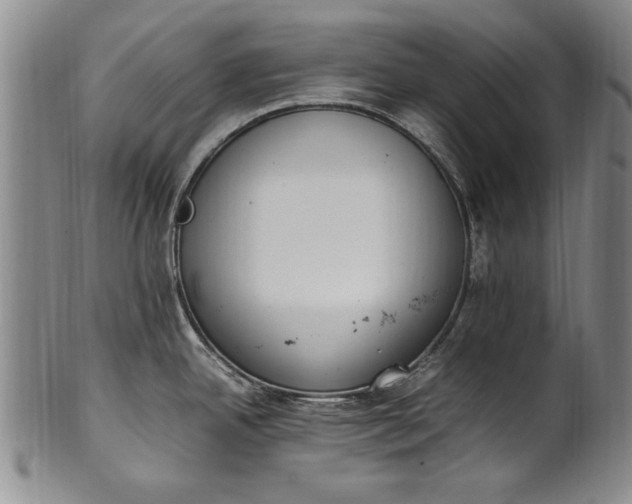 X0000102251342200808081402