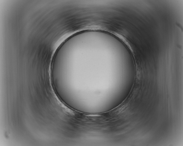 X0000102251343200808081402