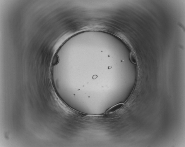 X0000102251344200808081402