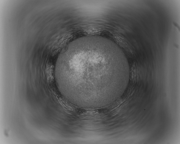 X0000102251346200808081401