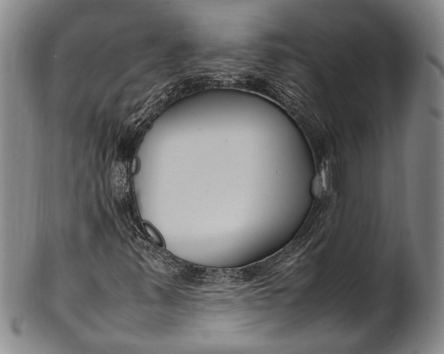 X0000102251347200808081401