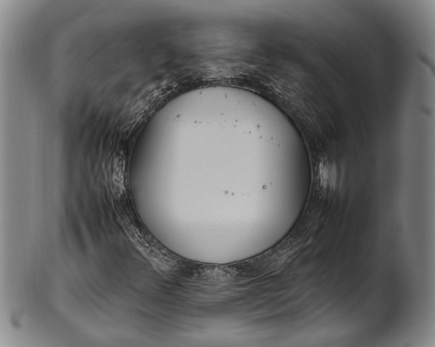 X0000102251348200808081401