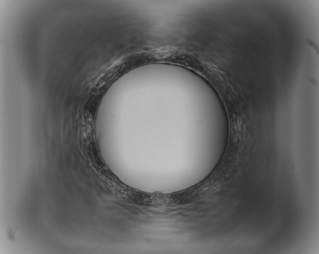 X0000102251349200808081401