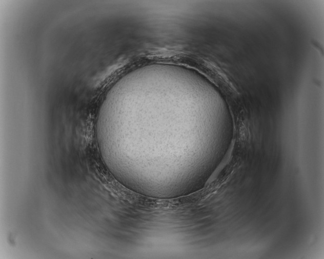 X0000102251350200808081401