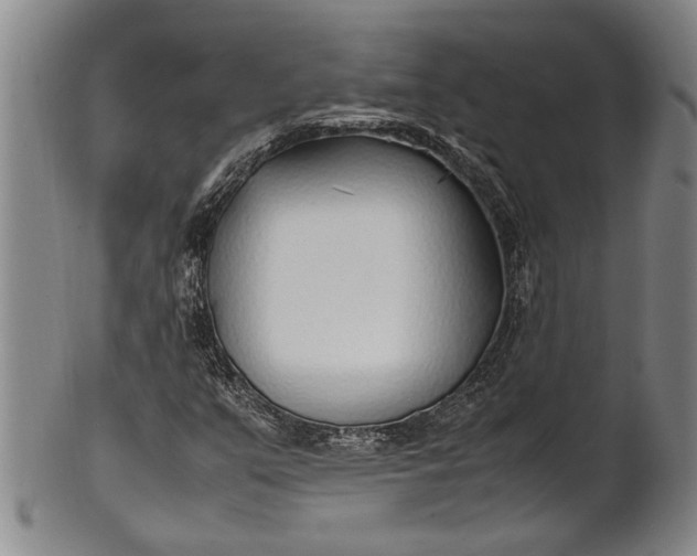 X0000102251351200808081401