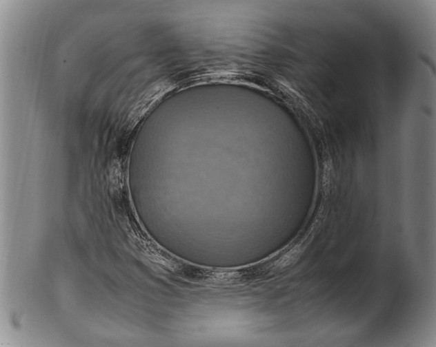 X0000102251353200808081401