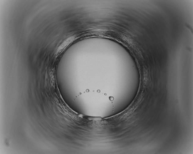 X0000102251354200808081401