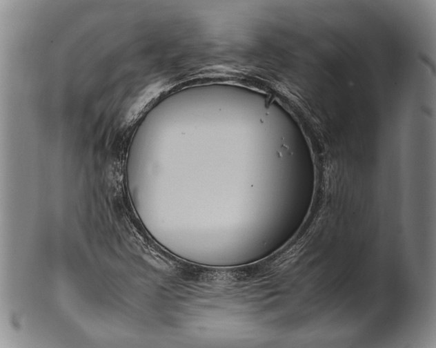 X0000102251355200808081401