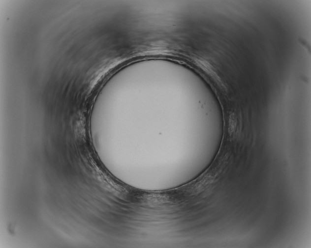 X0000102251356200808081401