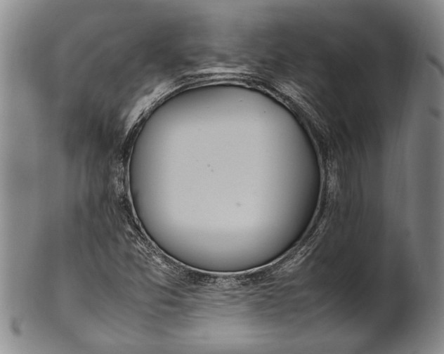 X0000102251357200808081401