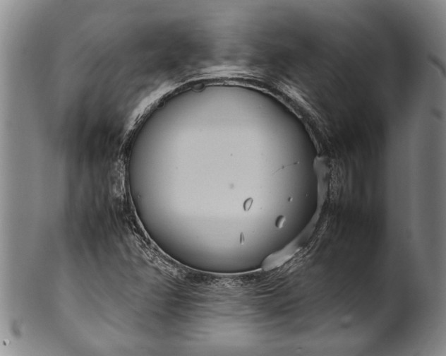 X0000102251358200808081401