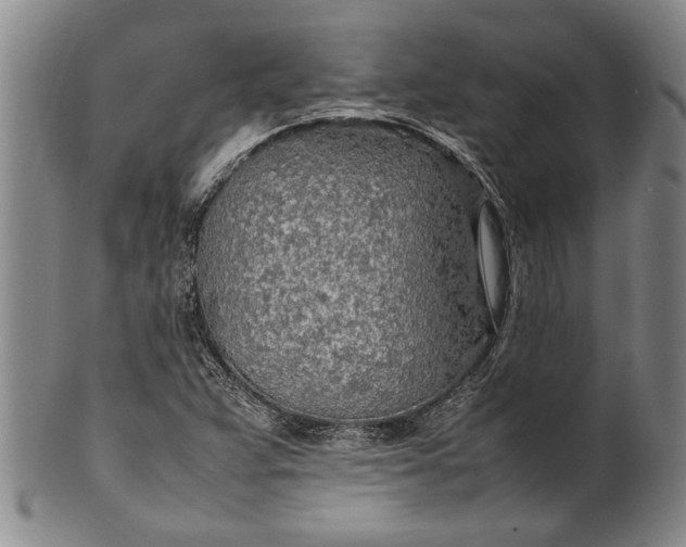 X0000102251359200808081401