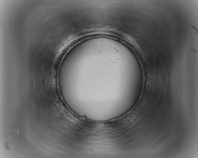 X0000102251360200808081401