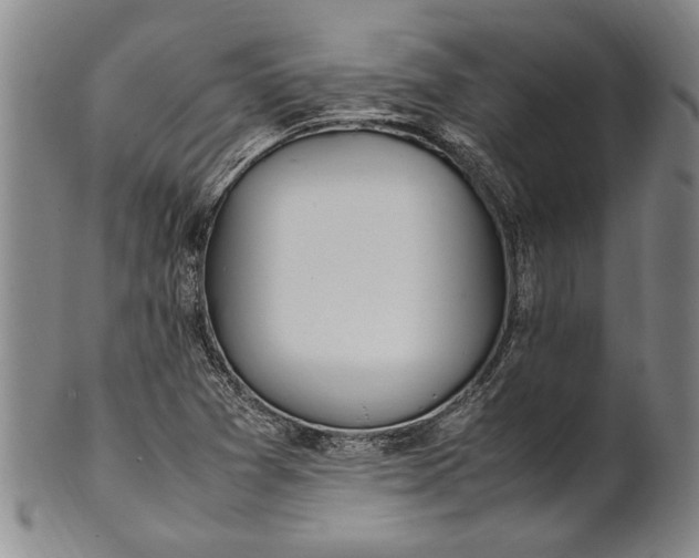 X0000102251361200808081401