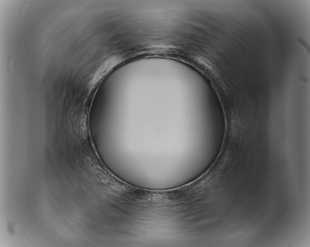 X0000102251362200808081401