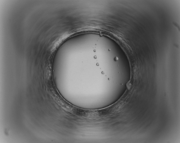 X0000102251363200808081401