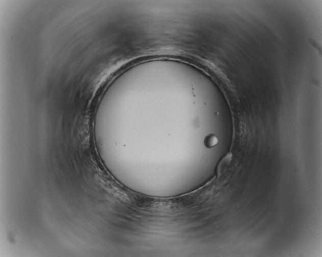 X0000102251364200808081401