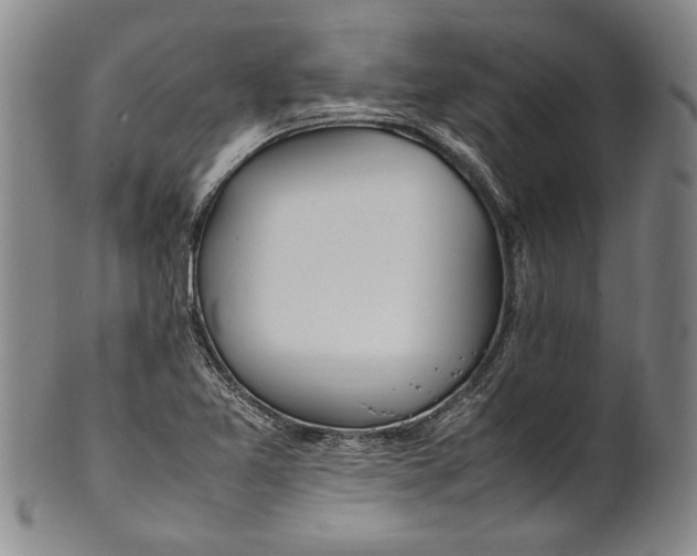 X0000102251365200808081401