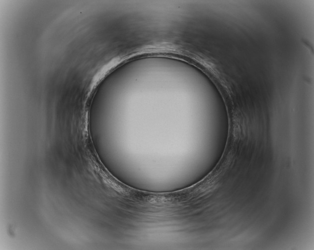 X0000102251366200808081401