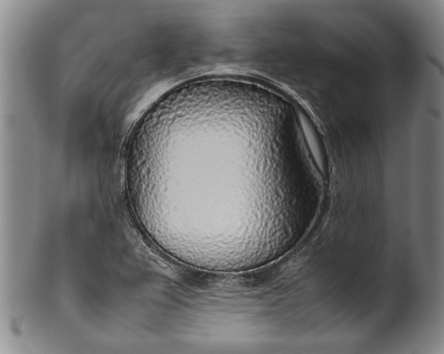 X0000102251367200808081401