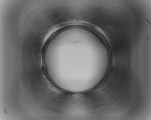 X0000102251368200808081401