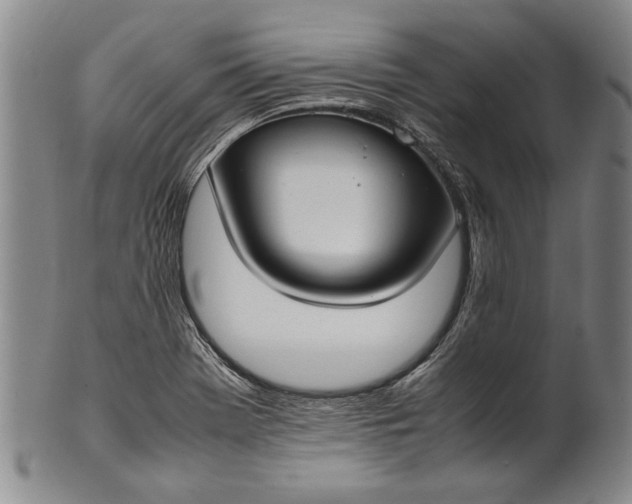 X0000102251369200808081401